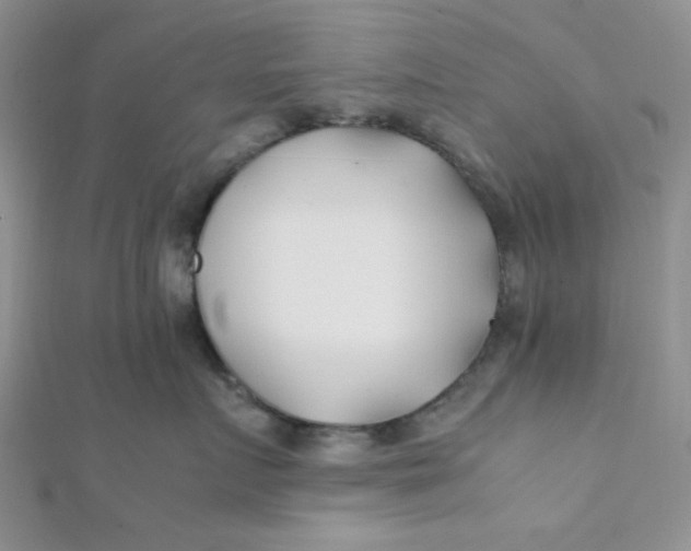 X0000112370719200909031931