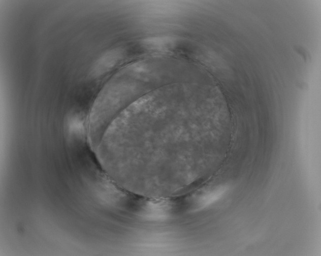 X0000112370720200909031931