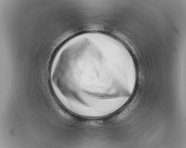 X0000112370721200909031931