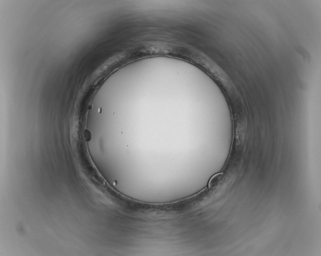 X0000112370722200909031931