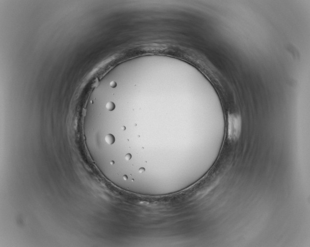 X0000112370723200909031931