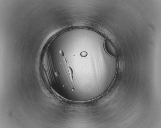 X0000112370724200909031931