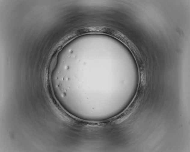 X0000112370725200909031931