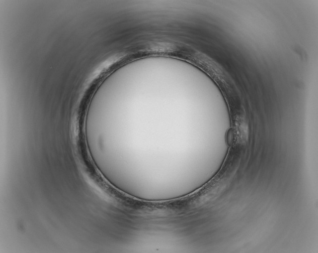 X0000112370726200909031931