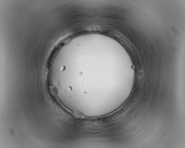 X0000112370727200909031931