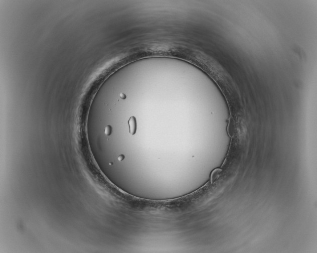 X0000112370728200909031931