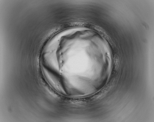 X0000112370729200909031931