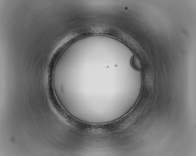 X0000112370730200909031931