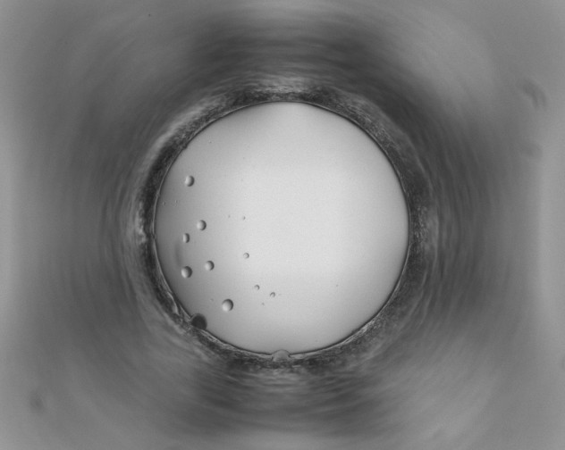 X0000112370731200909031931