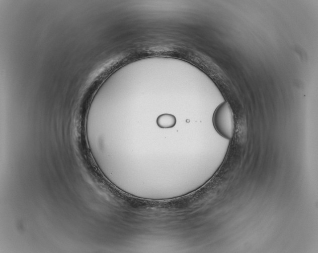 X0000112370732200909031931