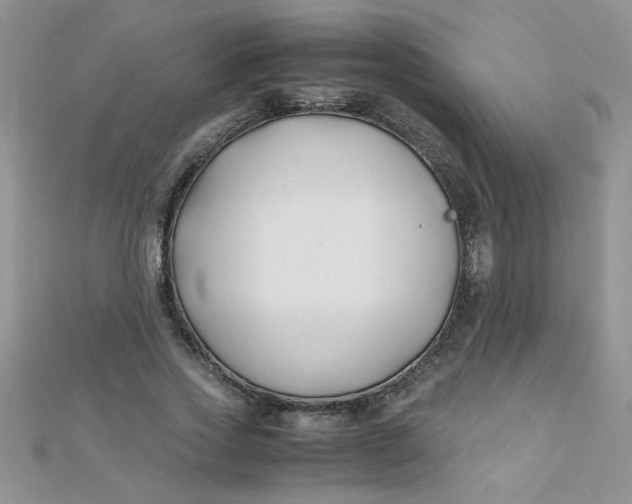 X0000112370733200909031931