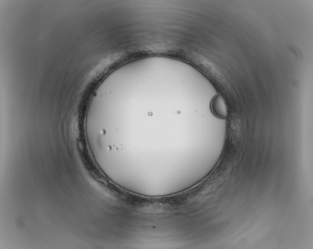 X0000112370734200909031931