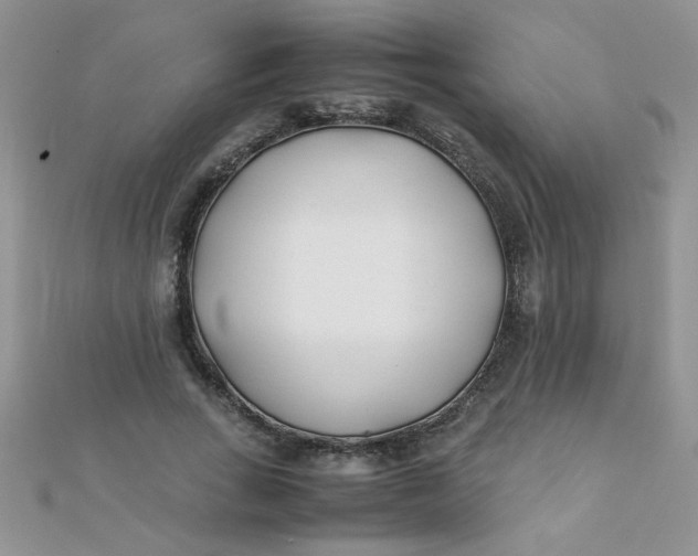 X0000112370735200909031931