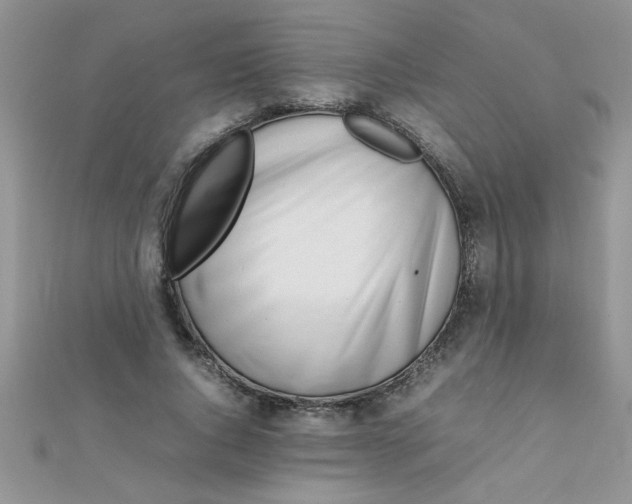 X0000112370736200909031931