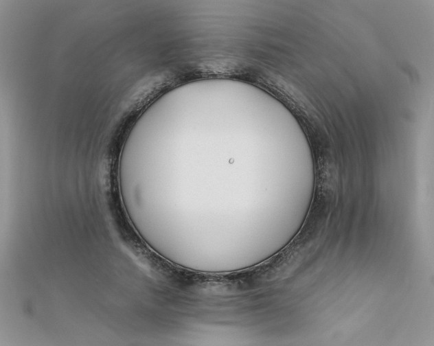 X0000112370738200909031931