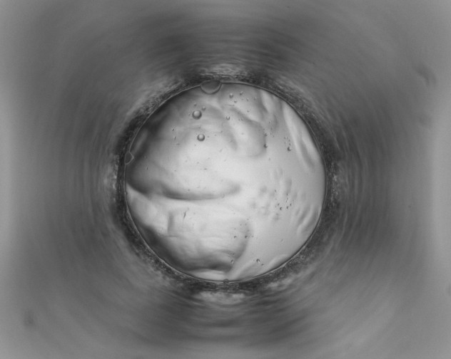 X0000112370739200909031931