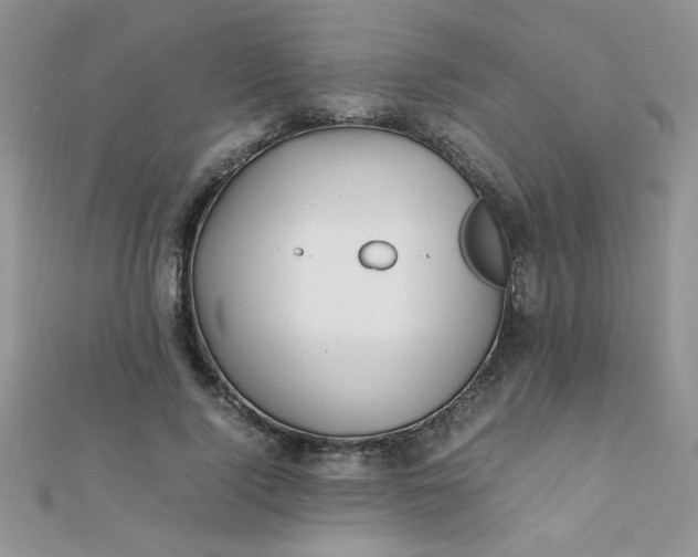 X0000112370740200909031931