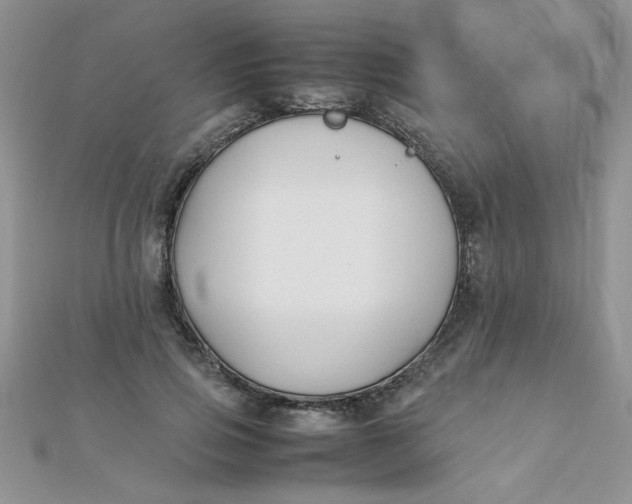 X0000112370741200909031931