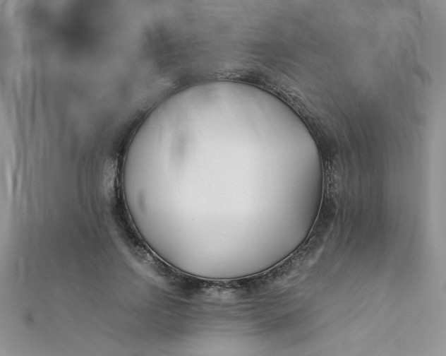 X0000112370742200909031931