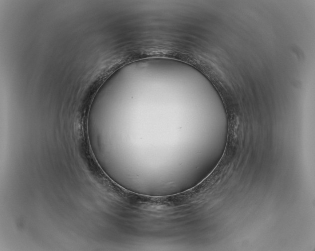 X0000112370743200909031931