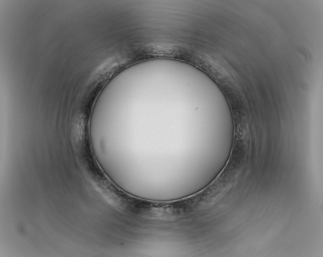 X0000112370744200909031931