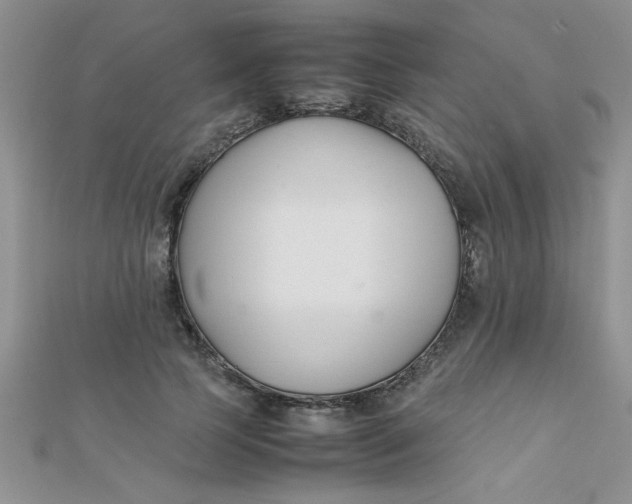 X0000112370745200909031931