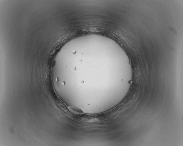 X0000112370747200909031931