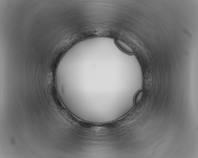 X0000112370748200909031931