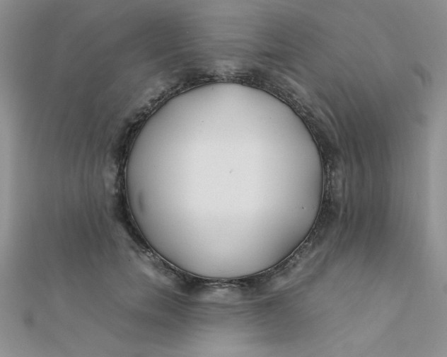 X0000112370750200909031931