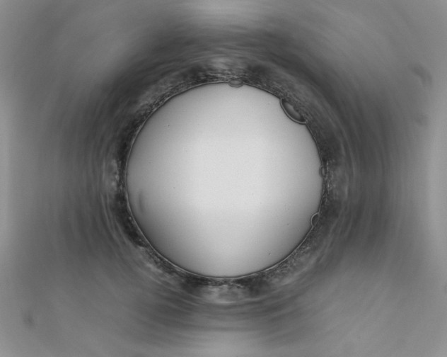 X0000112370752200909031931