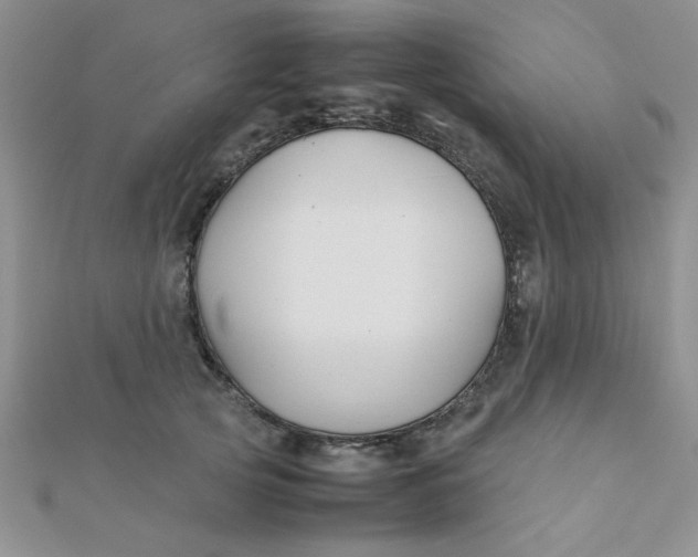 X0000112370753200909031931