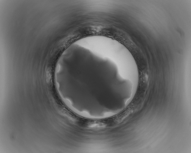 X0000112370754200909031931