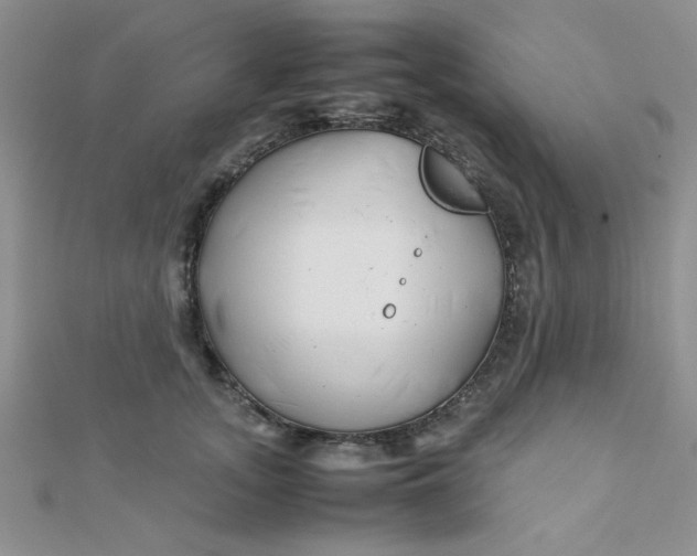 X0000112370755200909031931