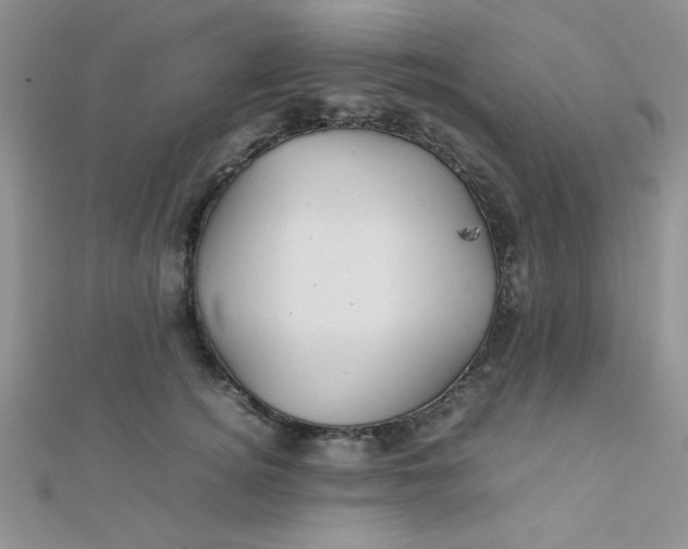 X0000112370756200909031931