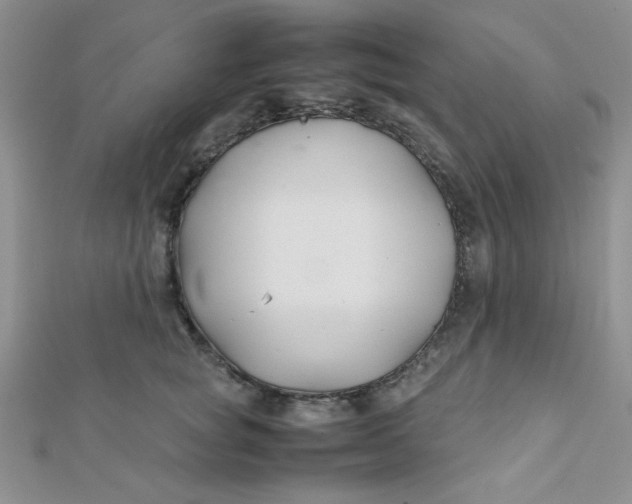 X0000112370757200909031931