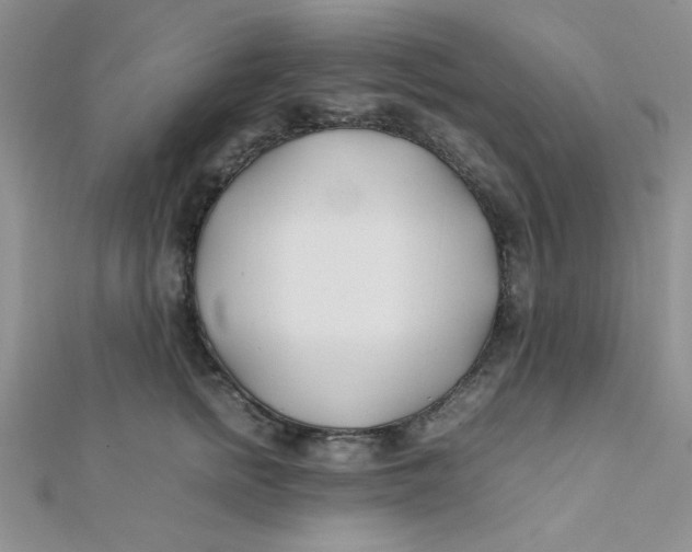 X0000112370758200909031931