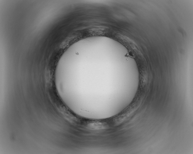 X0000112370759200909031931