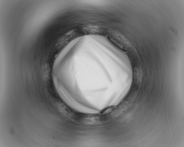 X0000112370760200909031931