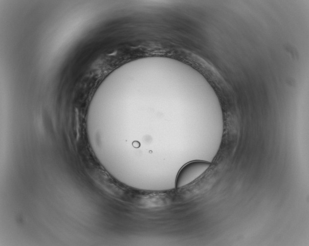 X0000112370761200909031931