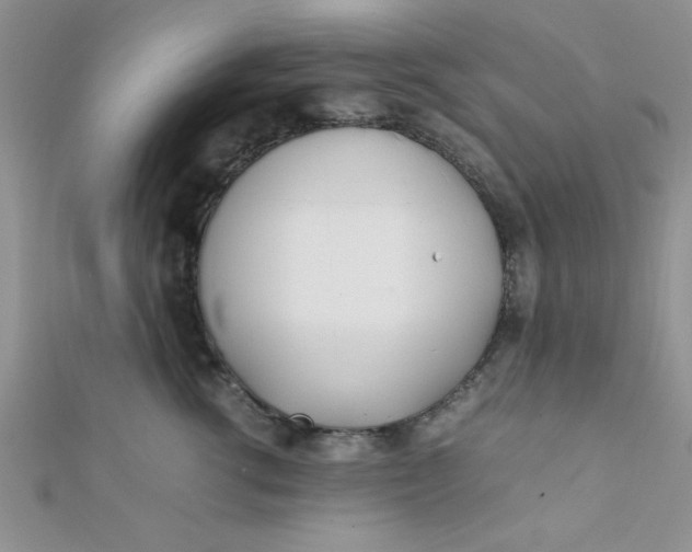 X0000112370762200909031931