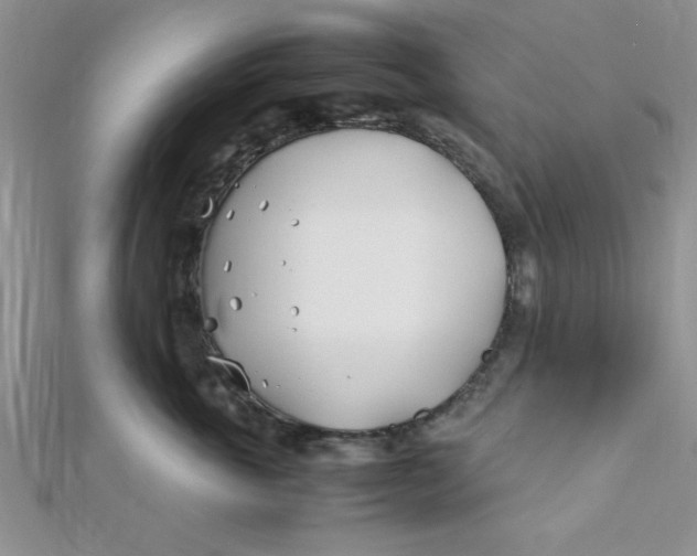 X0000112370763200909031931