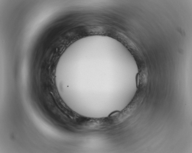 X0000112370764200909031931