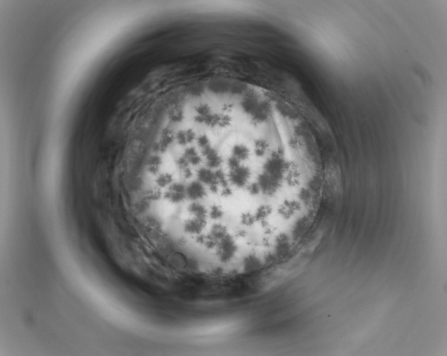 X0000112370765200909031931