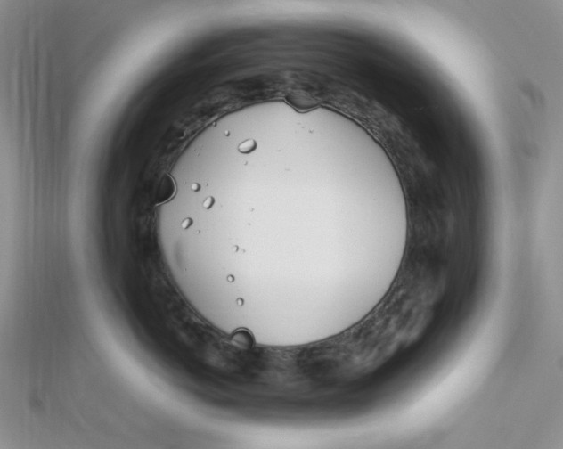 X0000112370766200909031931