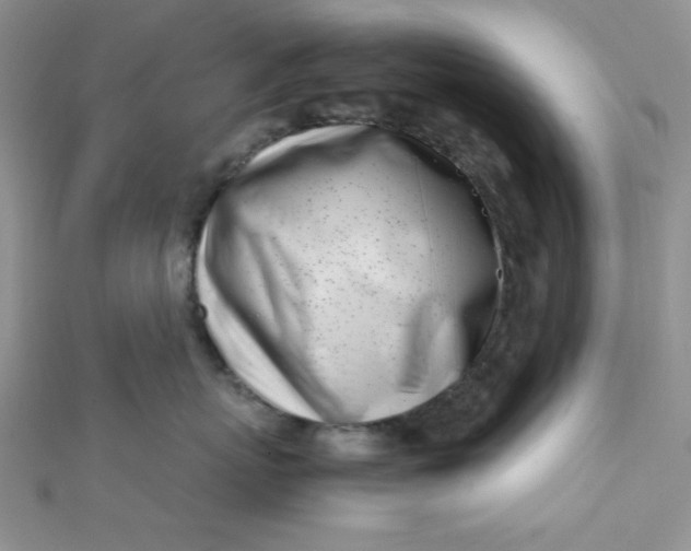 X0000112370767200909031931