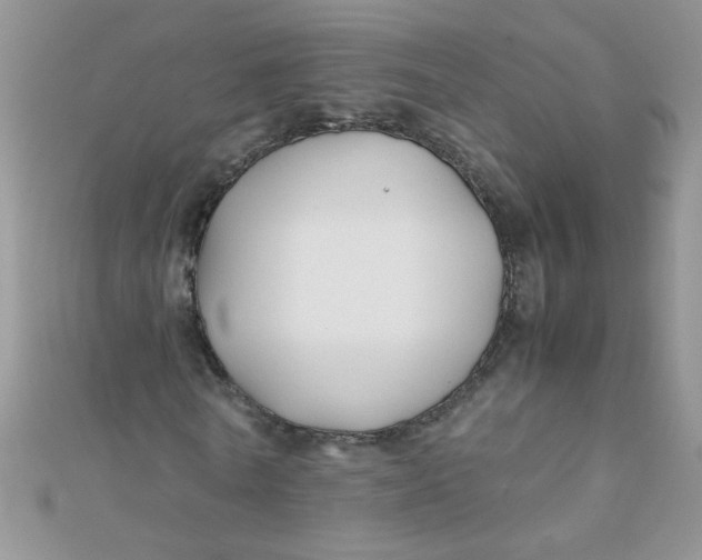 X0000112370770200909031931