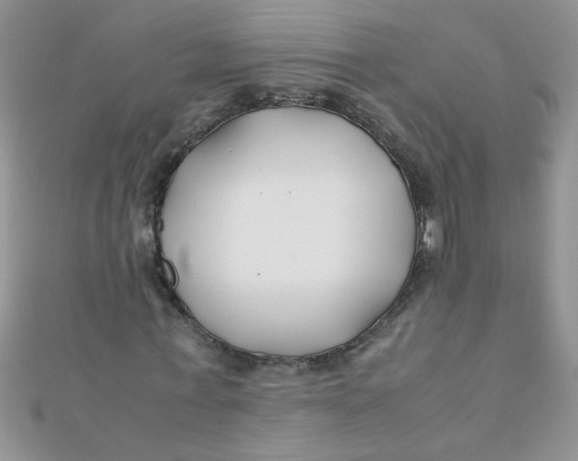 X0000112370771200909031931