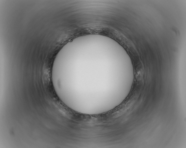 X0000112370772200909031931