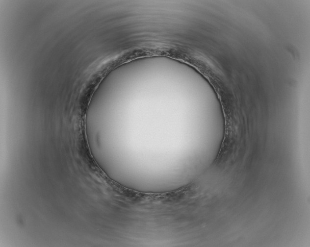 X0000112370773200909031931