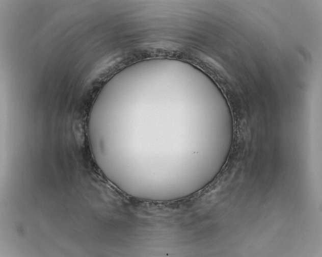 X0000112370774200909031931